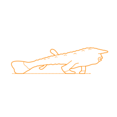 Animals Saltwater Fish Red Lipped Batfish Vinyl Cutting Svg File, Free Vectors File